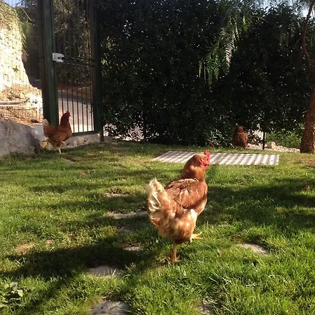 Da Lui カントリーハウス ボルディゲーラ