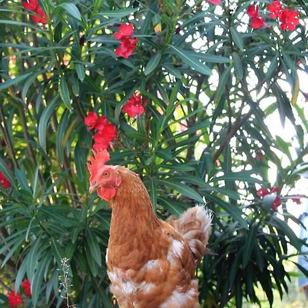 カントリーハウス Da Lui *